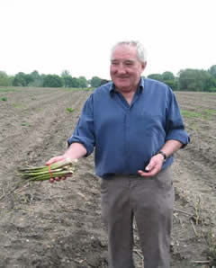 British Asparagus Festival