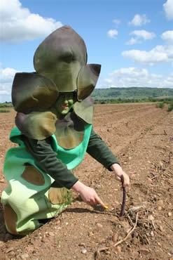 British Asparagus Festival